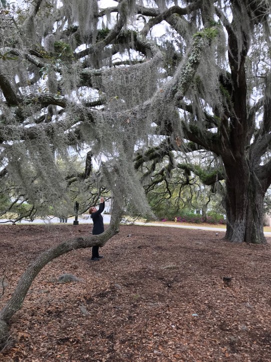 0126dbc6420ccffc156b83cd6050c7cf88e401ca52