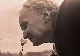 age and loss of smell